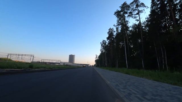Лес в Трёхгорке