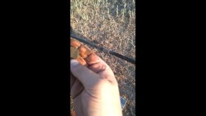 Долгожданный выезд!!! Мы еще сюда вернемся!.mp4