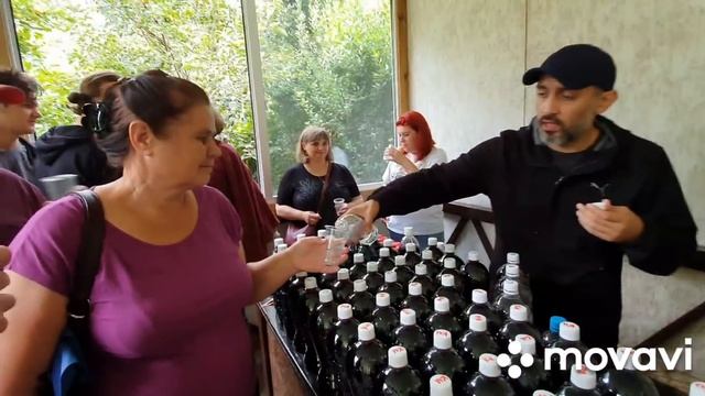 #Абхазия?Экстрим.Сейчас мы это попробуем! Дегустация красного вина и чачи! Гранатовый сок? смотреть онлайн