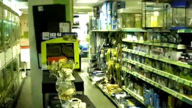 зоомагазин динозаврик 3 смотреть онлайн