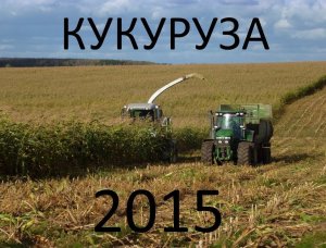 Заготовка кукурузы 2015. Harvesting corn 2015