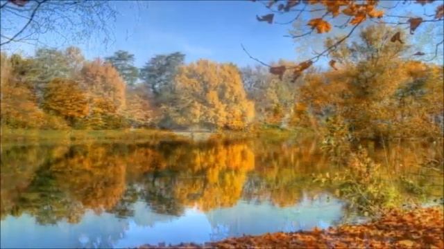 ОСЕНЬ  ЗОЛОТАЯ.  КРАСАВИЦА  ОСЕНЬ. ОСЕНЬ  ЗОЛОТАЯ  СНОВА  К  НАМ  ПРИШЛА