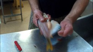 Филе из окуня.MP4