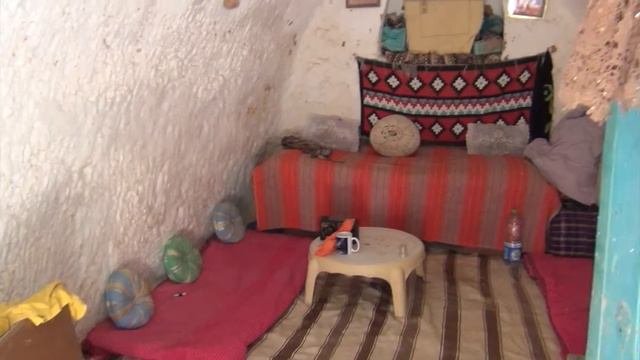 Троглодиты
