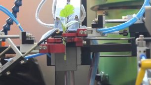 Робот делает прививки растениям