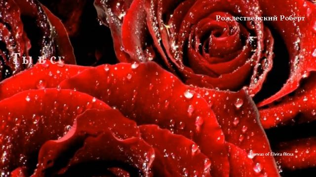 Любимой. Признание. Открытка. Стихи о любви смотреть онлайн