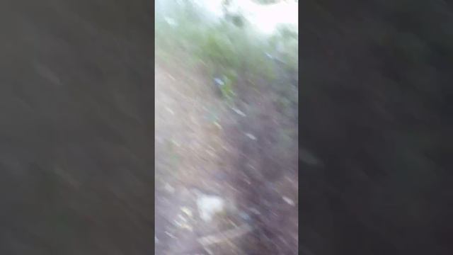 (шок!) я сломал руку смотреть онлайн