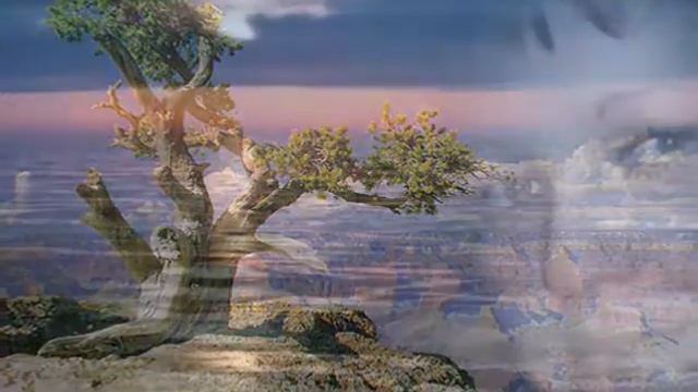 валентинов день смотреть онлайн