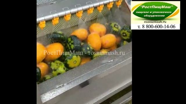 Мойка тыквы на GB-1000 смотреть онлайн