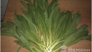Домашняя маринованная черемша
