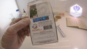 Огурец корнишон Веселая компания F1. СеДеК