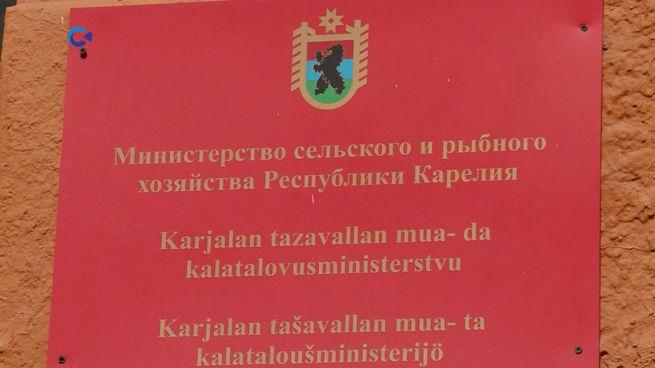 Предприятию «Форельфиш» отказано в предоставлении рыбоводного участка на озере Сегозеро