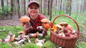 НЕ ХОЧУ ДОМОЙ! – Белые грибы и Подосиновики, когда столько грибов, то из леса уходить не хочется