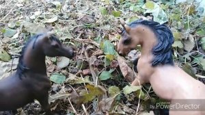 Шляйх Сериал/Унесённые Ветром /2 серия/Schleich Series/