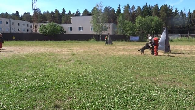 Дорс 4 этап смотреть онлайн