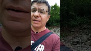 Юрист Александр Беляев о резолютивном и мотивированном решении суда