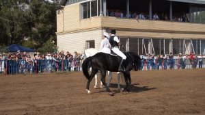 Саратовский ипподром. Конный балет.