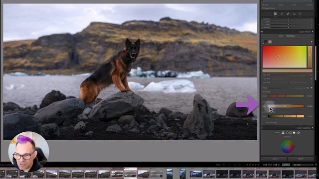 Lightroom's Game Changing New Colour Tool - Dog Photography Editing смотреть онлайн