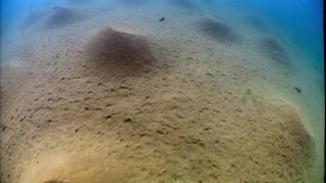 03. Пресная вода