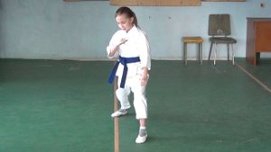 КАТА ТАЙКИОКУ ШОДАН