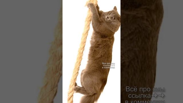 Техника для осознанных снов - КАНАТ ➿➿➿ #осознанныесновидения #астрал #выходизтела