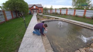 Пруд для рыбы с фонтаном и водопадом своими руками.