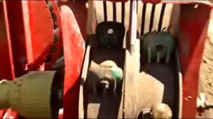 Бизнес на картошке