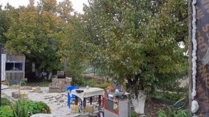 Пенобетон .Строительство гаража и бани монолитным пенобетоном