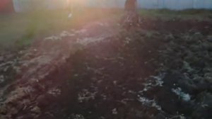 Пахота самодельным минитрактором. Огород с элементами целины.