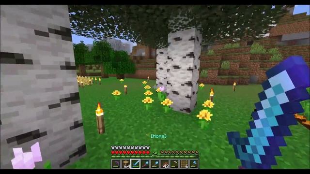 Glorious Trail - Minecraft Server - Java - 1.17.1 - Towny - MCMMO смотреть онлайн