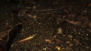 The Elders Scrolls V Skyrim Argonian glitch