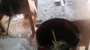 измельчитель сена для производства травяного компонента ч 1