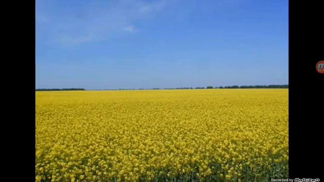 Гимн Украины смотреть онлайн