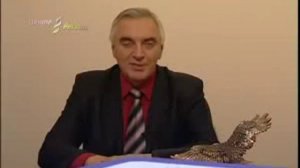 #Как структурировать воду#