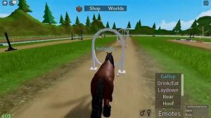 roblox, HORSE WORLD . МИР ЛОШАДЕЙ РОБЛОКС .