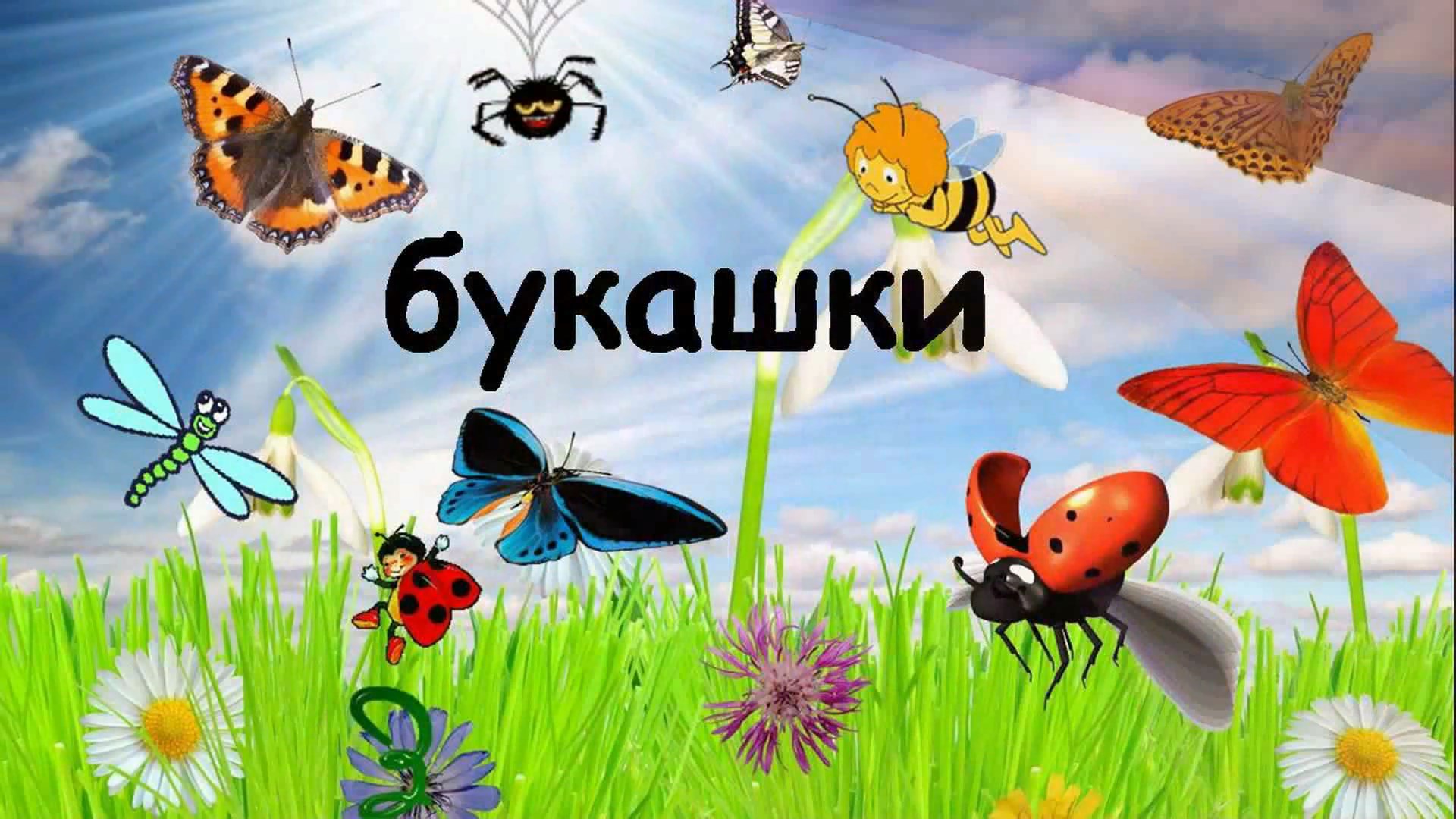 Бабочки картинки окружающий мир. Луг с насекомыми. Лето насекомые. Удивительный мир насекомых. Летние насекомые для детей.