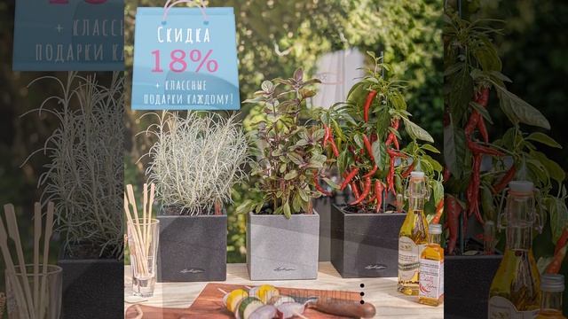 Kашпо для цветов ? LECHUZA CANTO Stone 14 с автополивом ? #shorts #lechuzamoscow #автополив смотреть онлайн