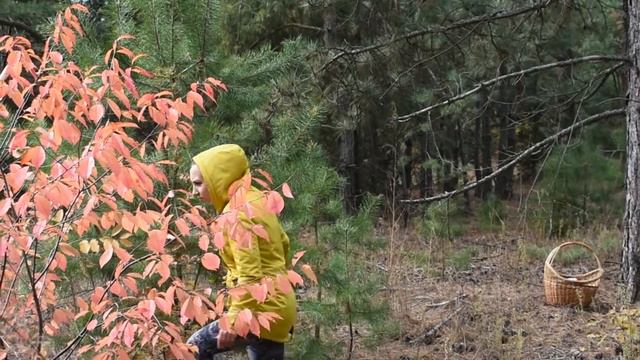 How human become a mushroom / Как человек стал грибом смотреть онлайн