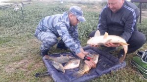 пруд Черноморец 10.07.19г. Улов рыбаков