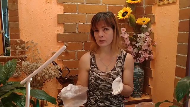 ЭУСТОМА ПОСЕВ НА РАССАДУ. КАК СЕЯТЬ ЭУСТОМУ? СЕКРЕТЫ ПОСЕВА ЭУСТОМЫ.