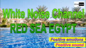 Долгожданное открытие Египта / White Noise Red Sea / Бухта Макади Бэй / Египет 2021 / Отпуск на море
