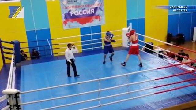 Четыре золотые и пять серебряных медалей. Итоги областных соревнований по боксу смотреть онлайн