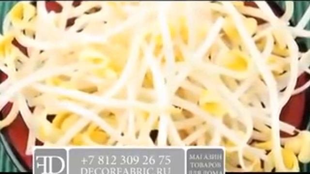Проращиватель семян