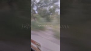 АртРазведка показала свою работу