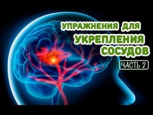 УПРАЖНЕНИЯ ДЛЯ УЛУЧШЕНИЯ ТОНУСА СОСУДОВ ГОЛОВЫ И ШЕИ