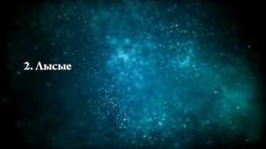 К чему снятся овцы - Онлайн Сонник Эксперт