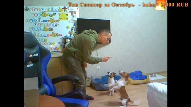 Человек Собаке Друг / 14.10.2023 смотреть онлайн