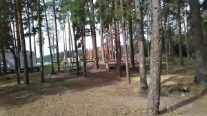 2021.08.08 Путешествие на озеро Земснаряд (город Куровское). Наши восторги.