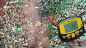 TIANXUN TX - 950 - Discover Pro Metal Detector - Deep In Ancient Woodland, My First Detecting Video