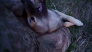 САМА ПАШУ, САМА САЖАЮ! КАРТОШКА НА САДЫ _ УХА ИЗ РЕЧНОГО ОКУНЯ НА КОСТРЕ